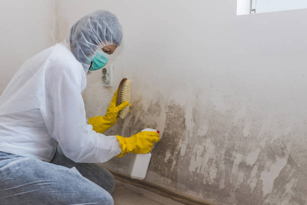Best Residential Mold Removal  in Winterville, GA