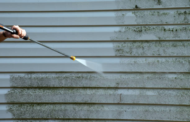 Attic Mold Removal in Winterville, GA